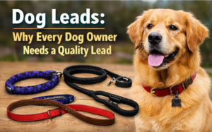 dog-leads
